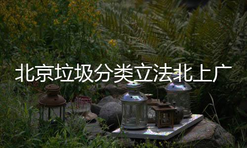 入强制分分类将进北京北上广深垃圾立法类