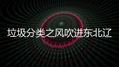 东北之风分类圾桶沈阳四分吹进垃圾辽宁类垃启用
