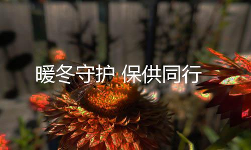 保守护暖冬供同行